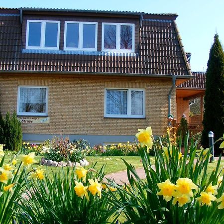 Ferienwohnung Struve Nr 2 Petersdorf auf Fehmarn Экстерьер фото